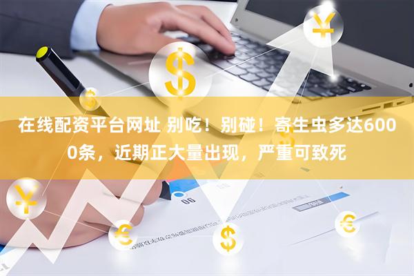 在线配资平台网址 别吃！别碰！寄生虫多达6000条，近期正大量出现，严重可致死